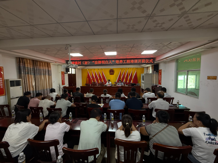 郴州市海口专业法务咨询(海南法之道法务咨询有限公司)