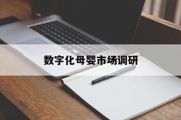 郴州市数字化母婴市场调研(数字化母婴市场调研报告)